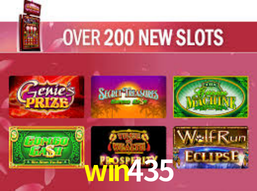 Premium Interface win435